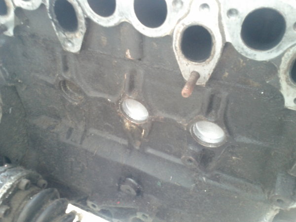 IMG_20130402_141637.jpg