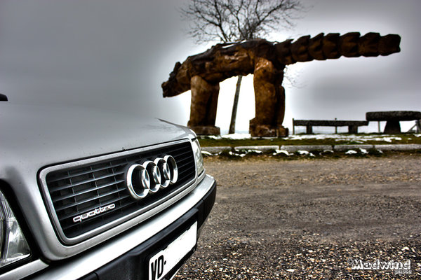 IMG_6894audi.jpg