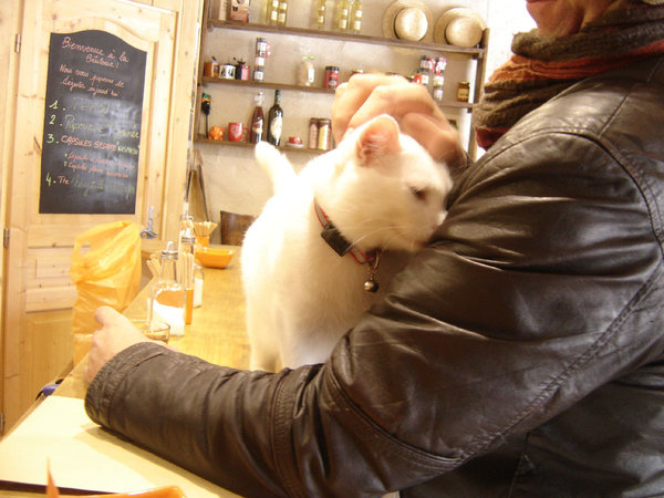 DSC04223_MOD.jpg