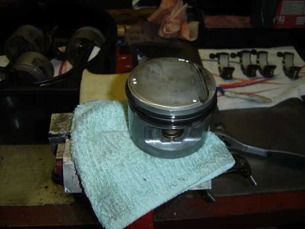 DSC06515.JPG