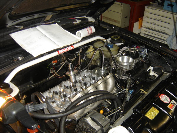 DSC06755.JPG