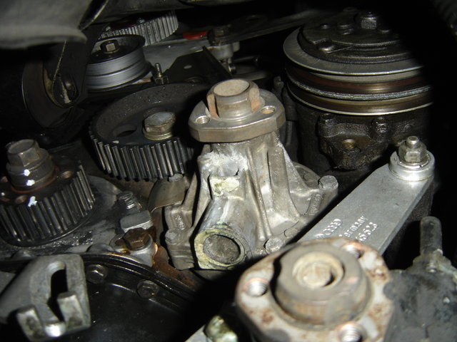 DSC07249.JPG