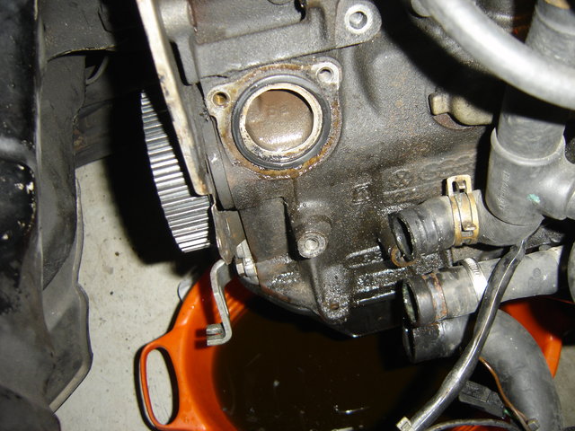 DSC07260.JPG