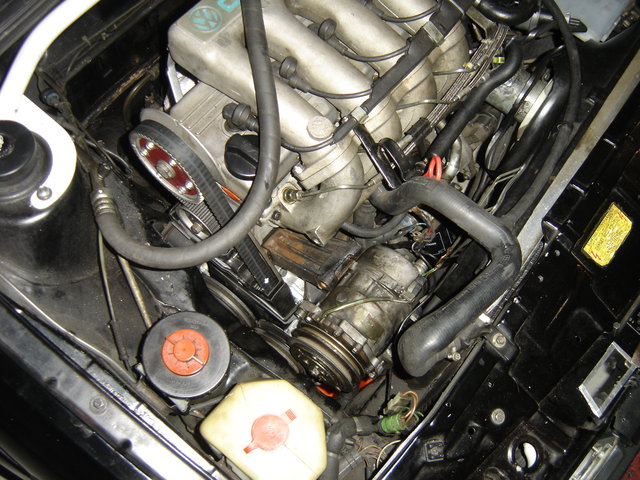 DSC07299.JPG
