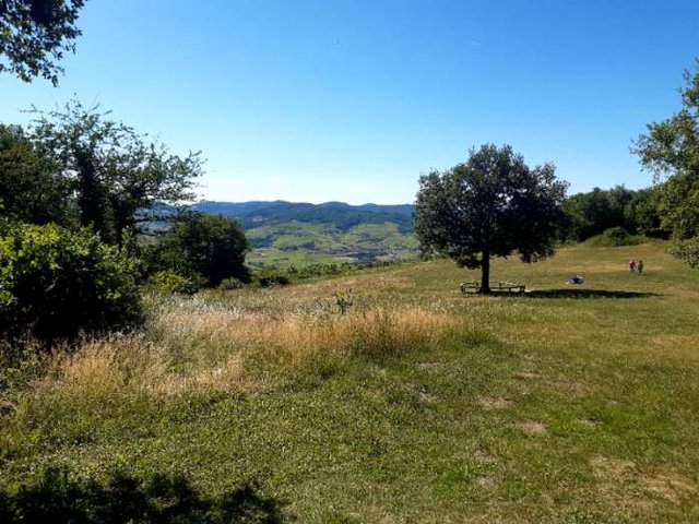 samedi chiroubles vue vignobles.jpeg